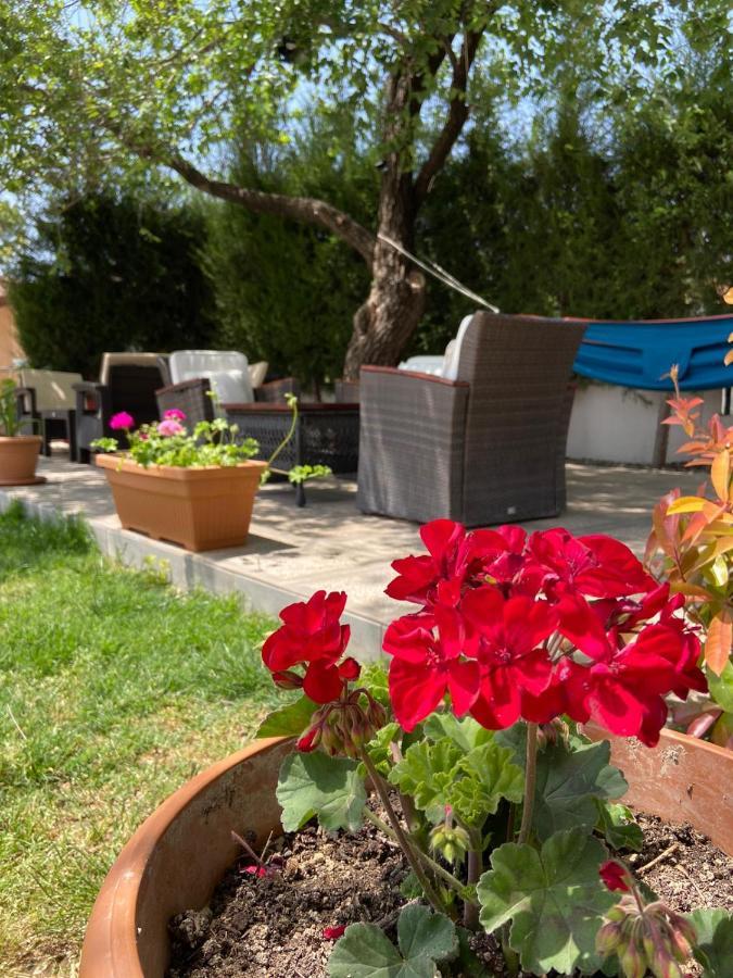 Safak Apart & Hotel Dalyan Ngoại thất bức ảnh